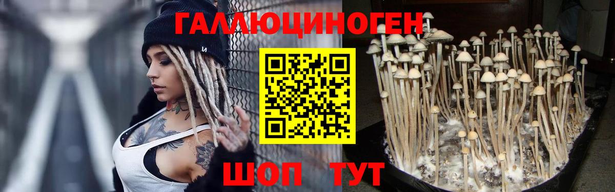 Галлюциногенные грибы мухоморы  Вход с VPN  Ивантеевка  Псилоцибиновые грибы Psilocybe 